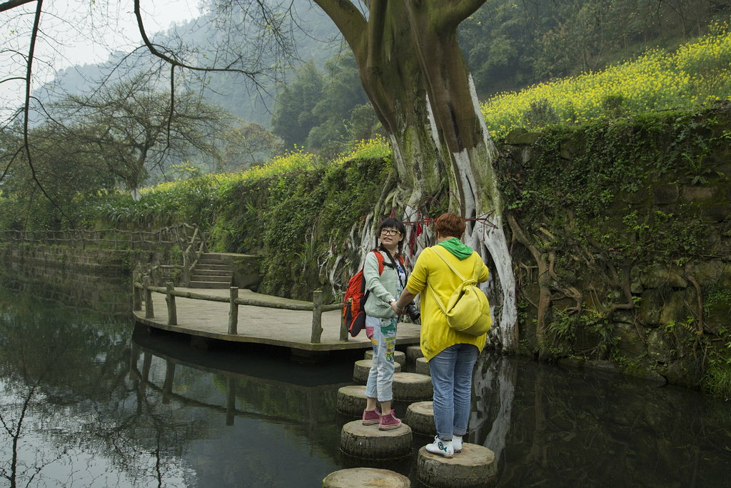 四川省南充市营山县小桥镇有哪些人参加国民党