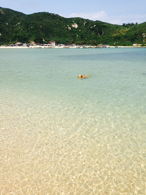 那句世界上有5大洲,多少个岛屿和多少亿人口的