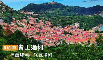 崂山风景区+崂山仰口游览区+青山渔村+崂山太清游览区一日游【纯玩0购物/全程环海公路/市区上门接】