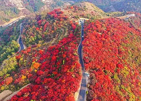 淄博齐山一日游【潍坊出发， 已含景交】