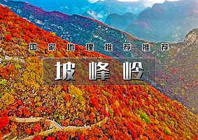 坡峰岭一日游【【坡峰岭1日】国家地理推荐の2025火爆红叶观赏地-6公里环形赏红叶栈道-漫步红色海洋】