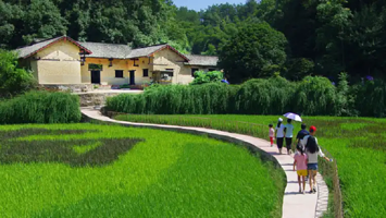 毛泽东同志故居+韶山毛泽东同志纪念馆+刘少奇故居一日游【无购物店-红色演出-长沙出发-韶山-可16人小团】