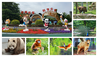 秦岭四宝科学公园+西安秦岭国家植物园一日游【精致小团2人起订西安市三环内接送】