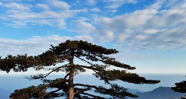 黄山风景区+宏村景区三日游【黄山北接送•含2晚准4星酒店•纯玩无购物•导游陪同上山•打卡迎客松•徽州画里乡村】