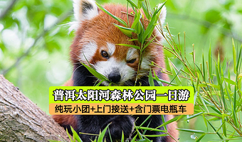 普洱太阳河国家森林公园一日游【含门票电瓶车+6人内出行+上门接送+精品纯玩团】