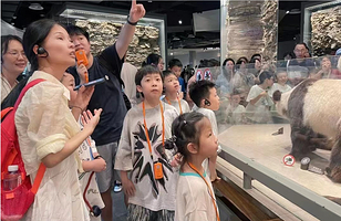 小朋大友|上海自然博物馆|10人品质小团|含入园2h|含耳麦