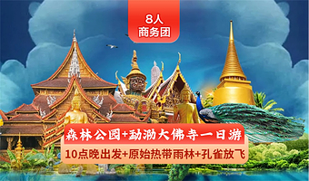 原始森林公园+勐泐大佛寺一日游【10点晚出发/8人内商务团】