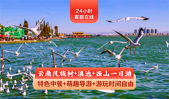 昆明云南民族村+滇池+西山风景名胜区一日游【特色中餐+萌趣导游】