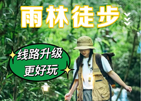 热带雨林徒步一日游【6人内精品小团，含树降秋千+溯溪竹筏+生物课堂+雨林午餐+纯玩体验+土著向导】