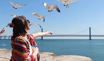 棒棰岛+星海广场一日游【大连市内纯玩 送帆船出海10人团/私家团 更安全舒适】