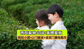 普洱太阳河森林公园+中华普洱茶博览苑一日游【含双景门票电瓶车+上门接送纯玩+小熊猫+严选本地司机车辆】