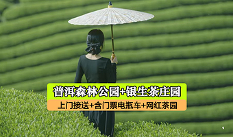 普洱太阳河森林公园+普洱银生茶庄园一日游【含门票电瓶车独立出发不拼人+上门接送+纯玩】