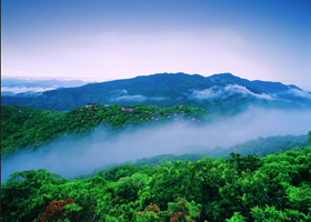 【酒店套餐】亚龙湾人间天堂鸟巢度假村孔雀别墅或大雁别墅1-2晚套餐+双早+双人门票