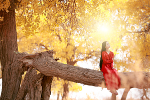 银川沙湖旅游区+镇北堡西部影城+贺兰山岩画一日游【至臻小团/上门接/无购物/无自费/铁定成团/跟团游】