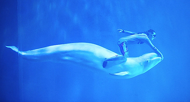 大连3日私家团·老虎滩海洋公园+金石滩度假区+棒棰岛三日游【赶海抓蟹+海边捡贝壳+空中看大连+体验渔家风情】