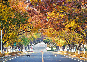 大连旅顺潜艇博物馆+十里黄金海岸二日游【一家一车|行程宽松|坐帆船出海喂海鸥|登顶白玉山俯瞰军港|3钻酒店】