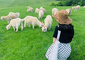 大连棒棰岛+三寰牧场+金石滩度假区四日游【3钻酒店|逛遍大连小众打卡地|帆船出海|行程宽松无购物|一家一车】