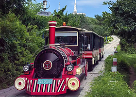 大连棒棰岛+东鸡冠山+老虎滩海洋公园四日游【专车接机/站|逛遍大连精华打卡点|无购物无自费|一家一车|3钻】