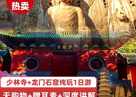 郑州少林寺+塔林+龙门石窟+卢舍那大佛一日游【官方优选商家+优选导游+上门接+赠耳麦+天天发团+品牌自营】