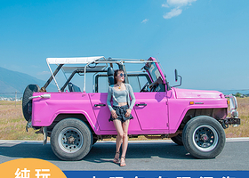 大理环洱海包车一日游 酒店上门接送 环洱海景点随心停 价格一价全含