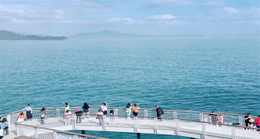 【私家团】深圳世界之窗+中英街+大梅沙海滩一日游【上门接送＋含世界之窗日场门票＋深中通道＋品盐田烧乳鸽R2】