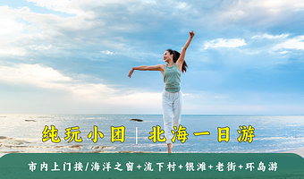 北海环岛游+海洋之窗+银滩+老街+流下村一日游【0购物纯玩小团+市内上门接+天天发团】