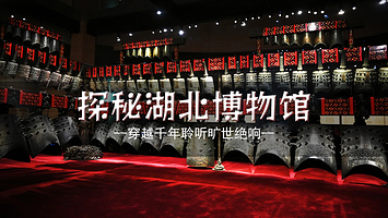 湖北省博物馆门票预约+2小时大咖讲解·可选10人小团或精品团