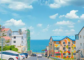 【私家包车定制】刘公岛+成山头+动物园+海驴岛+天鹅湖+布鲁维斯+猫头山+大相框+火炬八街一日游【赠天鹅粮】