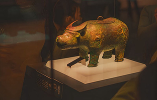 【人工讲解】安阳殷墟博物馆资深导游沉浸式讲解3小时 I 殷商文化 I 青铜文明 I 穿越三千年（不含门票）