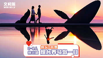 一日游【6人团烟台养马岛3h车进后海+里蹦岛音乐公路＋烟大小吃街＋海昌渔人码头风景区+烟台山景区纯玩】