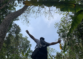 西双版纳基诺山雨林徒步一日游【含向导+雨林大餐+竹筏+榕树速降+雨林秋千+溯溪+石头绘脸】