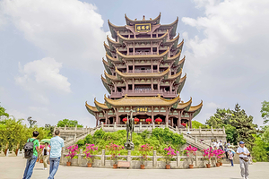 武汉黄鹤楼+湖北省博物馆+武汉大学+武汉长江大桥+户部巷+江汉关大楼一日游【赠单程轮渡过江，含无线耳机讲解】