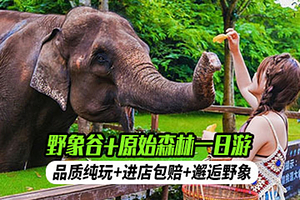 野象谷+西双版纳原始森林公园一日游【真纯玩+无套路+进店包赔+大象科普+热带雨林+孔雀放飞】