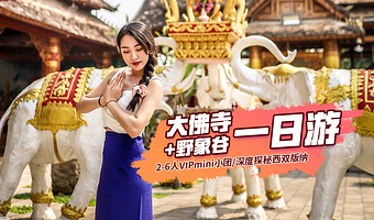 【拼小团】西双版纳野象谷+勐泐大佛寺一日游【严选司机★市区内上门接送★寻觅野象踪迹★参观傣王朝寺院】