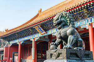 【人工讲解】导九州 北京颐和园半日游 2-3H 资深讲解 I 皇家园林 I 明清历史（不含门票）