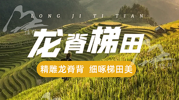 龙脊梯田一日游【8人小团+纯玩无购物+龙脊门票+含往返车费+龙脊金坑+黄洛红瑶寨】