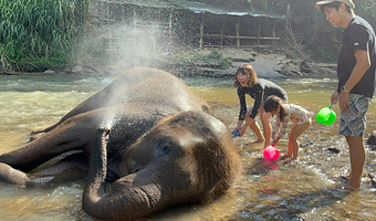 清迈秘密大象营一日游【沾沾瀑布|泥浆浴+带大象散步+喂大象+给大象洗澡/中文导游】