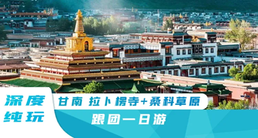 甘南拉卜楞寺+桑科草原一日游【兰州往返/八坊十三巷/2-8人精品小团/纯玩无购物】