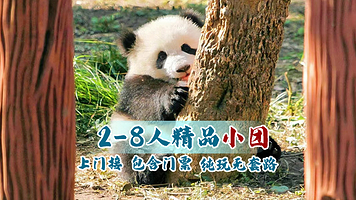 【拼小团】重庆重庆动物园+李子坝轻轨站+重庆市人民大礼堂+中国三峡博物馆+重庆涂鸦艺术街一日游【2-8人品质团