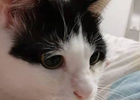 一日游【固化case组合生单勿动-不要下架】