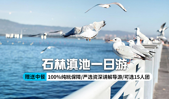 昆明石林风景区+滇池一日游【纯玩不购物丨专业讲解  含门票丨午餐】