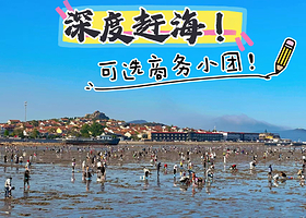 青岛崂山+会场赶海园一日游【小众游·小团出行&青山渔村打卡·沙子口广场·免费提供赶海工具】