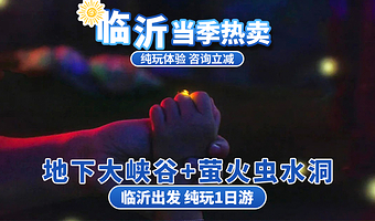 临沂地下大峡谷+萤火虫水洞一日游【临沂发-地下大峡谷+萤火虫水洞（赠游船）+蝴蝶谷一日游】