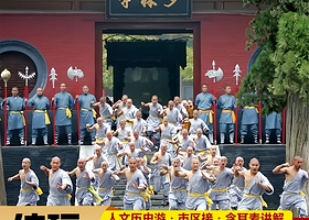 郑州少林寺+塔林+三皇寨一日游【郑州出发+全程高速+纯玩无购物+导游精解+赠耳麦+三环内上门接】