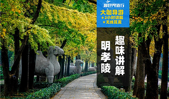 南京明孝陵2小时趣味讲解大咖深度讲解-感受世界文化遗产的魅力