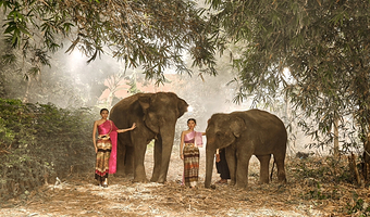 曼谷大象保护园半日游中文导游 可选酒店接送【曼谷大象营|大象护理|泰国草药鼻通|简餐|亲子乐园|场次可选】