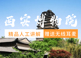 西安博物院+小雁塔+荐福寺  | 免门票预约 赠无线耳麦/深度讲解2小时
