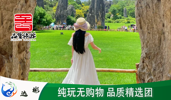 石林风景区一日游【二环内接|臻选0购物纯玩团+可选9点晚出发或15人精品小团+含特色午餐-精选网红导游】