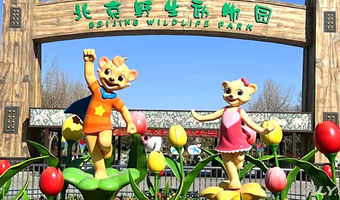 北京野生动物园一日游【往返直通车◆市内集散◆景区快速直达◆可选含门票】