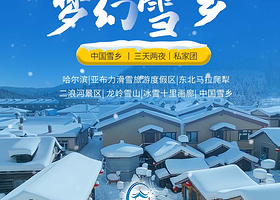 中国雪乡+大秃顶子山+亚布力滑雪旅游度假区三日游【8人小团丨一价全含丨纯玩无购物丨亚布力西站起止高铁团】